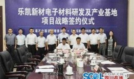 保定乐凯最新爆料,揭秘企业创新与发展新篇章