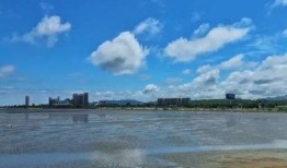 济南烟台爆料事件最新,真相追踪与网络舆论风暴