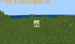 我的世界mc手机版最新版爆料,Minecraft手机版最新版爆料揭秘