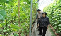 东营吃瓜最新事件爆料是真的吗,真相揭秘还是网络谣言？