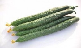 金乡最新大瓜爆料,最新大瓜爆料揭秘惊人内幕