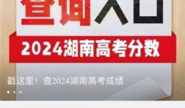 寻找卓宝最新爆料视频,独家爆料视频大揭秘！