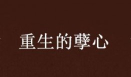 从心重生最新爆料,揭秘全新爆料背后的惊人真相