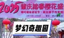 肇庆头条最新爆料,最新爆料事件深度解析