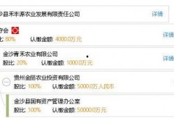丰源万业爆料视频最新版,行业动态与未来趋势深度解析