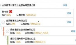 丰源万业爆料视频最新版,行业动态与未来趋势深度解析
