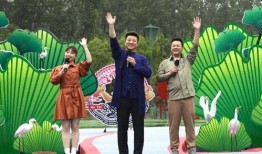 新会爆料小哥视频最新版,热点事件背后的真相与内幕