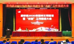 康桥爆料最新消息新闻,最新消息揭示惊人内幕