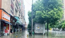 衡阳最新爆料,揭秘背后惊人真相！